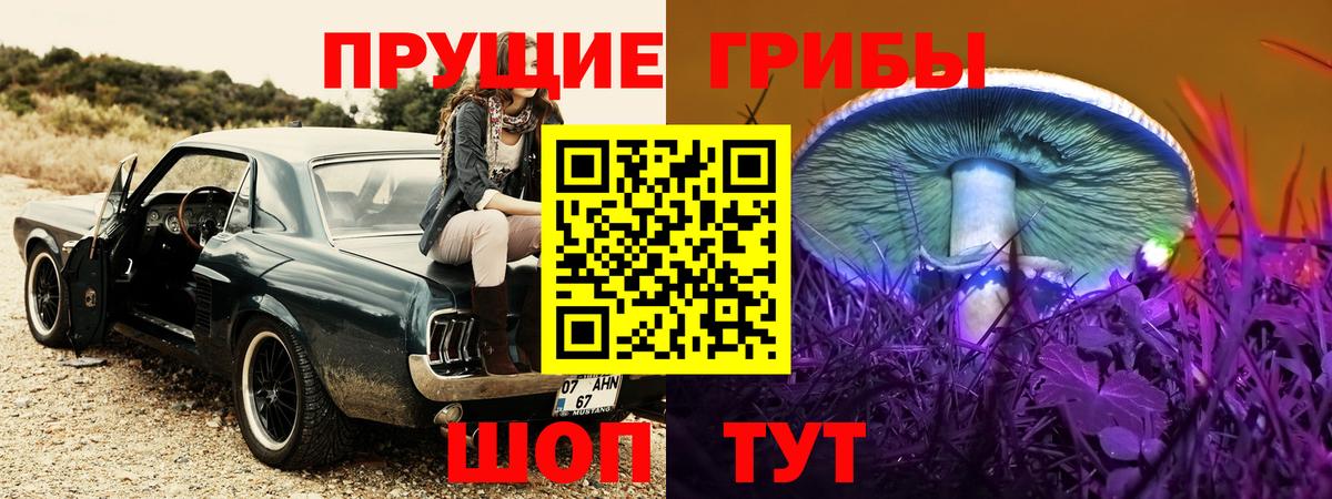 Псилоцибиновые грибы Psilocybine cubensis Губаха